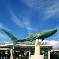 Sculpture de requin en bronze sur mesure pour l'extérieur, taille réelle, technique de moulage, design animal 3D pour la décoration de jardin