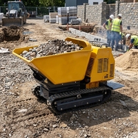 Mini-Raupendumper mit Hydraulisch Drehbarer Schaufel, Diesel-Betriebener Kettendumper, Kleiner Gummiketten-Dumper