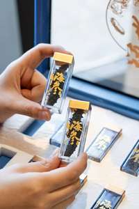 <span class=keywords><strong>Concombre</strong></span> de mer holothurien haut de gamme prêt à consommer – Cadeaux du Nouvel An pour les aînés et les amis - Product Image 3