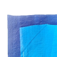 Bâche en plastique PVC de taille personnalisée pour couverture de toit