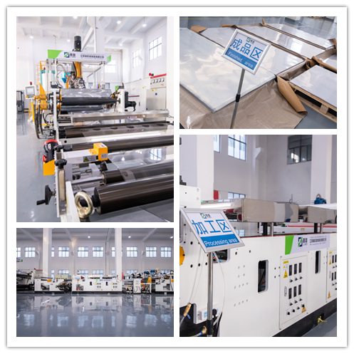 Food Grade Customized PET Blister Tray For Biscuit/Cake Tray Packaging