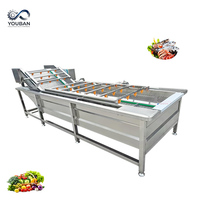 YouBan Factory OEM SUS304 Automatische fruit- en groentewasmachine met ozon & hogedruksproeier