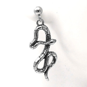 Pendientes colgantes de acero y titanio con forma de serpiente yunnique para hombres y mujeres, joyería de moda con forma de animal - Product Image 3