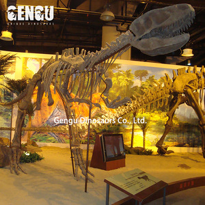 Estatua de fósil de dinosaurio de Metal para interiores, esqueleto de dinosaurio colgante para centros comerciales, aeropuertos, guarderías, escuelas - Product Image 5