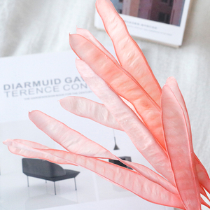 ดอกไม้<span class=keywords><strong>ลาบ</strong></span><span class=keywords><strong>ลาบ</strong></span>์อบแห้งแบบถาวร ทำมือ DIY ตกแต่งห้องรับปริญญา ใช้งานได้นาน 3-5 ปี จากโรงงานยูนนานโดยตรง - Product Image 5