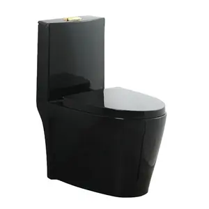 Chine fabricant salle de bain sanitaire toilette une pièce inodoro céramique noire cuvette de toilette