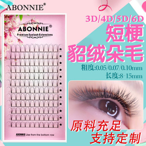 Extensions de cils en vison Abonnie à tige courte 3D 4D 5D 6D 0,07 mm 8-15 mm, cils artificiels naturels et doux pour usage général - Product Image 1