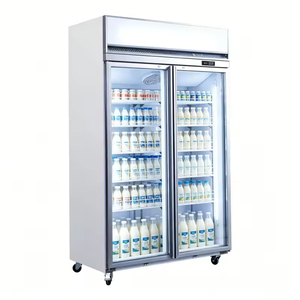 Réfrigérateur commercial à double porte avec compresseur monté en haut, réfrigérateur vertical pour boissons - Product Image 2