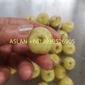 เครื่องแยกเม<span class=keywords><strong>ล</strong></span>็ดผลไม้ <span class=keywords><strong>ราคา</strong></span>โรงงาน สำหรับพลัม เชอร์รี่ พีช มะกอก อินทผลัม - Product Image 5