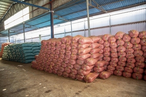 Tự nhiên cocopeat trong túi đa năng phương tiện truyền thông cho đất cải thiện và tăng trưởng Chất lượng cao tiêu chuẩn xuất khẩu - Product Image 4