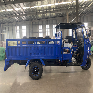 Çin kargo benzinli üç tekerlekli bisiklet 200cc 250cc 300cc motor <span class=keywords><strong>peru</strong></span>'da 3 tekerlekli üç tekerlekli bisiklet - Product Image 4