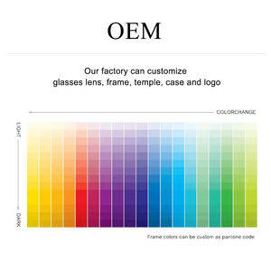 Kacamata Hitam Fashion UV400 Logo Kustom Wanita Pria Bingkai PC Lensa Akrilik Kacamata Hitam Murah Kacamata Hitam Kustom dengan Promosi - Product Image 4