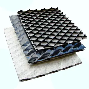 Composite Drainage Net und 10mm dickes Drainage Mesh HDPE Kunststoff für Wall Back Garden