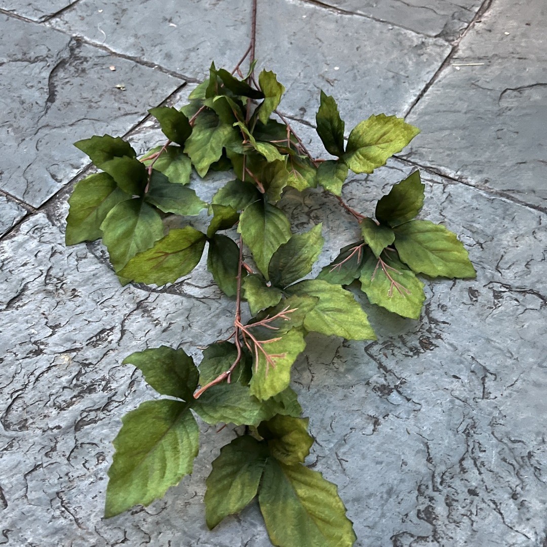 3-branch indian banyan leaf-green