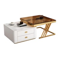 Table basse convertible de luxe, design moderne et minimaliste, plateau en acier inoxydable et verre, pour petits appartements, salon, rangement