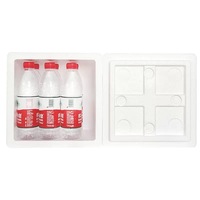 Boîte d'Emballage Personnalisée en Mousse EPS Polystyrène pour Transport Alimentaire Froid, Glace Sèche, Médical, Fruits, Poissons, Légumes et Viandes