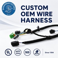 Kabel Harness Lampu Kabut, Kabel Harness Listrik, Rangkaian Kabel, Kabel Harness Jantan-Betina, Kabel Ekstensi OEM