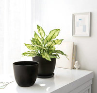 Jardinières en plastique de 6,5 pouces, pot de jardinage décoratif avec soucoupe de drainage, pour toutes les plantes d'intérieur, fleurs, herbes, plantes feuillues, pépinière