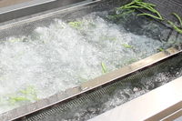 Automatische Gemberaardappel Fruitgroentewasmachine Data Reinigingsmachine Aardappelen Plantaardige Vortex Wasmachines