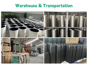 Piquets <span class=keywords><strong>de</strong></span> plantes à tige unique Cages <span class=keywords><strong>de</strong></span> pivoines et anneau <span class=keywords><strong>de</strong></span> Support <span class=keywords><strong>de</strong></span> plante pour Support <span class=keywords><strong>de</strong></span> plante pour orchidée <span class=keywords><strong>Amaryllis</strong></span> lys Rose tomates - Product Image 6