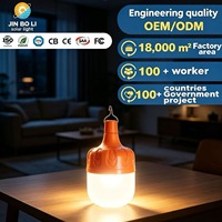 Ampoule LED rechargeable DC avec télécommande USB, super lumineuse, pour jardin, marché nocturne, maison, panne de courant, éclairage d'urgence