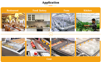 Dezoton industriële fruit- en groentewasmachine met bubbel- en ozonreiniger voor commerciële en huishoudelijke voedselverwerking