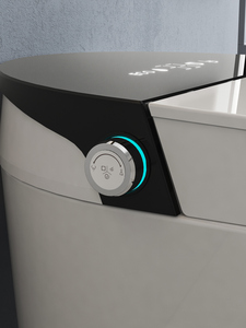 Inodoro Inteligente de Lujo Moderno RTS, de Una Pieza, Montado en el Suelo, con Asiento Calefactado y Descarga Sifónica, para Hotel, Villa u Hogar, con Certificación CE, CUP, G7 - Product Image 3