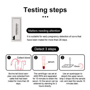 Kit de tiras de prueba de <span class=keywords><strong>embarazo</strong></span> para Vaca, cassette de prueba para vaca - Product Image 5
