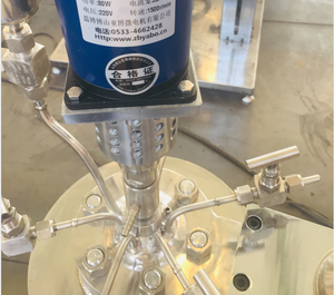 WHGCM Nuevo Reactor Hidrotermal de 500ml con Fondo de Acero Inoxidable, Agitador Magnético y Olla de Reacción de Laboratorio de Alta Precisión - Product Image 1