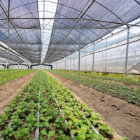 HDPE geweven schaduwdoek rechthoekig, milieuvriendelijk, anti-UV, heavy-duty schaduwdoek voor landbouw en kassen, UV-bescherming