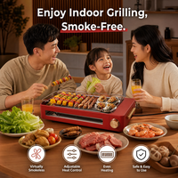Grill électrique portable grande capacité, facile à nettoyer, barbecue de table Pro-Grill avec plaque amovible, support français pour usage intérieur