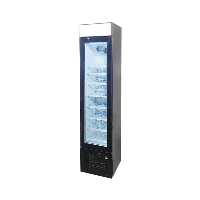 Ne-105dl Upright Freestanding Freezer Cabinet Glass Door Water Drinks Display Commercial Fridge Frozen Refrigerator