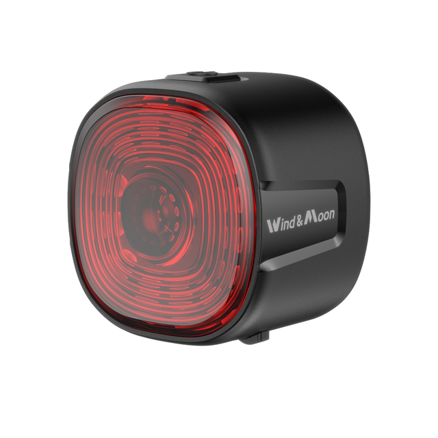 Smart Auto Brake Sensing LED Bike Tail Light Waterproof Cycling Taillight Portable Rear Light Battery Power ABS for Outdoor