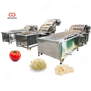 Blueberry Cleaning Waxing Garlic Bean Sprout Washer and Drying Machine Sorting Tomato Vegetable Fruit Washing Line