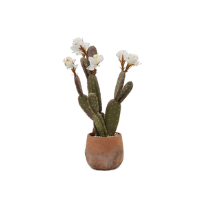 Garniture d'intérieur multi-<span class=keywords><strong>cactus</strong></span> artificiel en pot en <span class=keywords><strong>terre</strong></span> cuite nouveau design en gros - Product Image 1