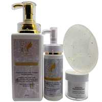 Gilorya Miracle Extreme Glowing Luxurious Vegan OEM Set Mineral AHA Pencerah Warna Kulit Vitamin C Hyaluronic Acid Dengan Shea Cactus