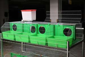 Assurance Commerciale Cages à Lapins d'Occasion à Vendre - Product Image 5