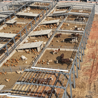 Structure en acier préfabriquée moderne pour élevage de bétail, abri coupe-vent et imperméable pour poulets, bergerie, hangar à bétail, étable
