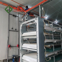 Vente flash : Équipement d'élevage avicole automatique de type batterie pour poulets pondeuses, capacité 10 000 poulets par cage