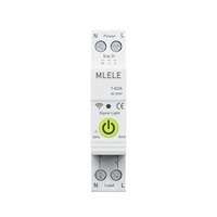 Commutateur de relais de synchronisation Tuya pour la domotique fonctionne Alexa Google Home Alice MCB Type LI Protection disjoncteurs miniatures bricolage