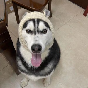 Lindo gorro de punto para perros con diseño de animales, talla única, sudadera cálida para perros pequeños y medianos, Teddy, Pomeranian, Schnauzer - Product Image 2