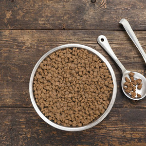 מזון יבש לחתולים 10 ק\\\"ג, מזון יבש איכותי לחתולים, ללא דגנים, עשיר בחלבון, ידידותי לסביבה, במחיר מרשים, ישירות מהמפעל, ייצור לפי הזמנה (OEM) - Product Image 1