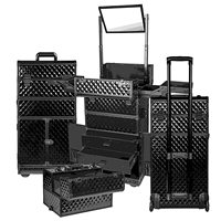 Étui de Train roulant en aluminium pour artistes maquilleurs-valise de chariot-chat noir curieux