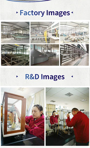 อิซเซ่ - Product Image 3