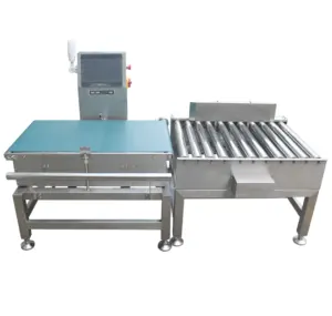 Conveyor Check Weight Automatic Check Weight Online Checkweigher With Auto Rejection System