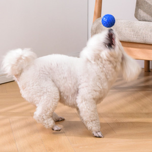 Jouet pour chien Aisenka Honeycomb Squeak Ball, durable, pour le nettoyage des dents, jouet auto-entretenant pour animaux de compagnie - Product Image 2