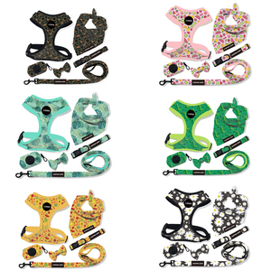Set tali dan kekang anjing peliharaan kustom, <span class=keywords><strong>Harness</strong></span> Anjing ramah lingkungan, Set <span class=keywords><strong>Harness</strong></span> anjing nyaman bersirkulasi - Product Image 5