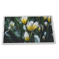 Módulo de pantalla LCD ODM 15,0 pulgadas WLED LQ150X1LX95 con resolución 1024*768 para uso en vehículos nuevos