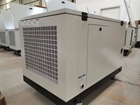Erdgas/LPG/Benzin Luftgekühlter Auto/Fernstart Tragbarer Generator 10-30kW mit ATS
