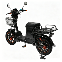 Vélo cargo électrique 60V résistant au froid LiFePO4 1000W pour livraison en Russie